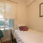 #Staycationprovidencia Apartamento Chic Y Equipado
